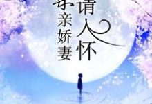 一宠成瘾：亲亲娇妻请入怀小说有没有完结版在线？-豌豆文学