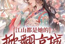 江山都是她的，掀翻京城又如何？小说的无弹窗阅读体验，寻找免费阅读网站-豌豆文学
