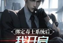 免费在线阅读绑定毒士系统后，我开启南天门计划小说的正规网站有哪些？-豌豆文学