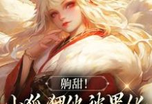 齁甜！小狐狸他被黑化男主吃干抹净小说，齁甜！小狐狸他被黑化男主吃干抹净方淮-豌豆文学