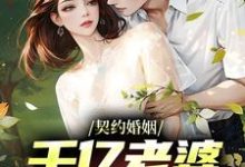 契约婚姻：千亿老婆太撩人小说，契约婚姻：千亿老婆太撩人沈浪沈妙涵-豌豆文学
