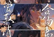 试管取消后离婚，合约妻子哭惨了小说的所有章节都能在哪里免费读到？-豌豆文学