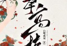 陈宝香小说叫什么(攀高枝免费阅读)-豌豆文学