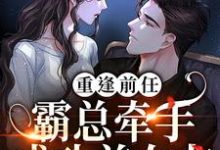 《重逢前任：霸总牵手成功前女友》小说大结局免费试读 陆星辰厉臻小说-豌豆文学