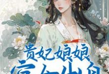 免费看贵妃娘娘宫女出身，皇上偏宠着小说的网站有哪些？-豌豆文学