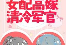 宋温然沈南征小说军婚撩人：倒霉女配高嫁清冷军官章节免费阅读-豌豆文学