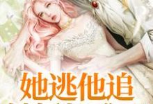 她逃他追，她插翅难飞小说全文哪里可以免费看？-豌豆文学