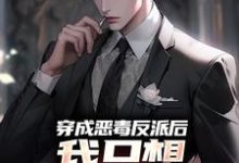 求穿成恶毒反派后，我只想离婚保平安小说免费资源-豌豆文学