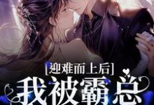 求迎难而上后，我被霸总狠狠宠爱小说免费资源-豌豆文学