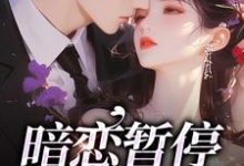 暗恋暂停,开始恋爱小说全文哪里可以免费看?-豌豆文学