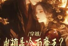 穿越：胤禛是冷面魔王？历史骗我！小说有没有完整的免费版本在线阅读？-豌豆文学