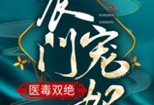 农门宠妃医毒双绝小说的免费阅读版本在哪里可以找到？-豌豆文学