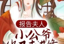 报告夫人，小公爷他又去进修男德了顾樱赵长渡，报告夫人，小公爷他又去进修男德了小说免费阅读-豌豆文学