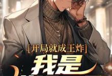 开局就成王炸：我是棋场一哥小说，开局就成王炸：我是棋场一哥在线阅读-豌豆文学