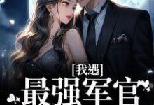 已完结小说《我遇最强军官，被宠爆了！》在线章节阅读-豌豆文学