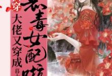 快穿：大佬又穿成恶毒女配啦！小说有没有完整的免费版本在线阅读？-豌豆文学