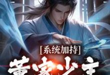 系统加持：董家少主貂蝉缘这本小说完结了吗？免费查看最新章节-豌豆文学