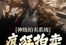 小说《神级拍卖系统：疯狂拍卖全球宝物》章节阅读-豌豆文学