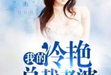 我的冷艳总裁老婆这本小说完结了吗？免费查看最新章节-豌豆文学