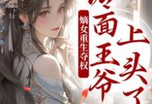 嫡女重生夺权，冷面王爷上头了叶流锦小说在线章节目录阅读最新章节-豌豆文学